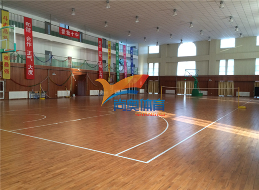 天津杨村第十中学篮球馆